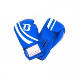 Guantoni Da Boxe Booster Pro Range V2 Gloves - Fitshop