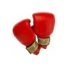 Everlast Guantone PVC Boston - Fitshop 1 Everlast Guantone PVC Boston - Fitshop -Sport Sconto bostonpvc rot detail