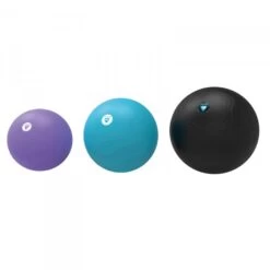 Palla Da Ginnastica LIVEPRO - Fitshop