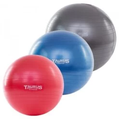 Palla Da Ginnastica Taurus Anti-burst - Fitshop