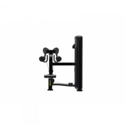 Lateral Raise Taurus IT95 - Fitshop