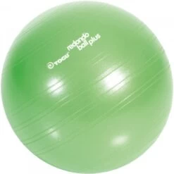 Togu Redondo Ball Plus - Fitshop